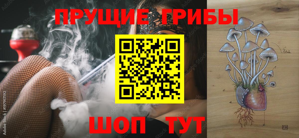 Железногорск  Псилоцибиновые грибы MAGIC MUSHROOMS  Вход с VPN 